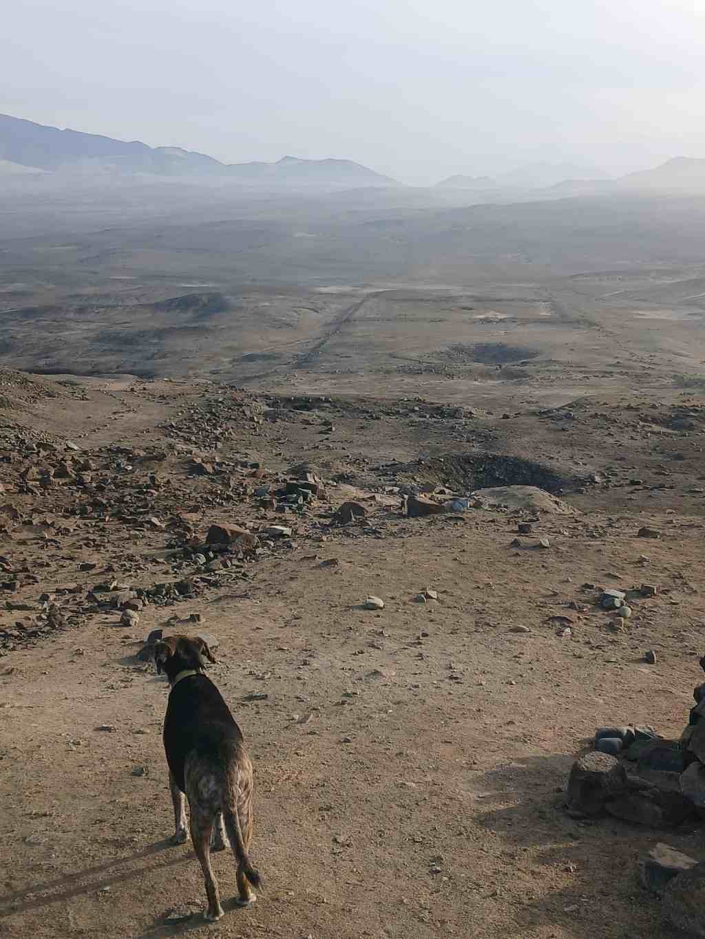 🗿 Las Aldas : Voyage au cœur d&rsquo;une civilisation&nbsp;oubliée